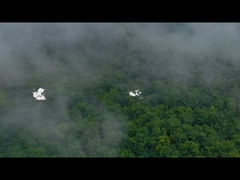 सिलिकॉन लंच बॉक्स